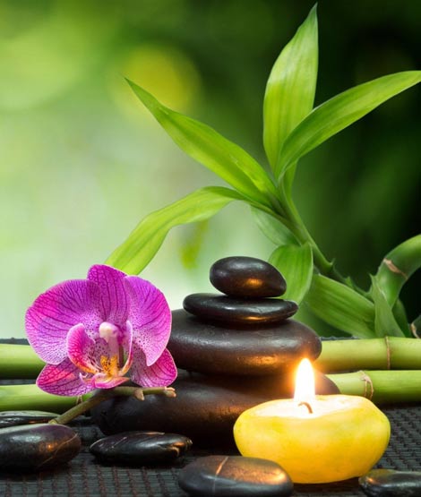 Gopalan Asan Siddha and Ayurvedic Medicals